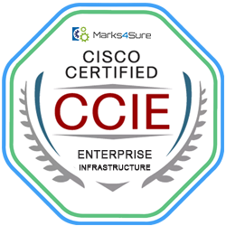 CCIE Enterprise Infrastructure