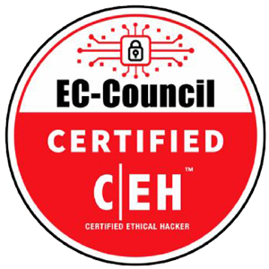 CEH Practical Lab Workbook PDF cover
